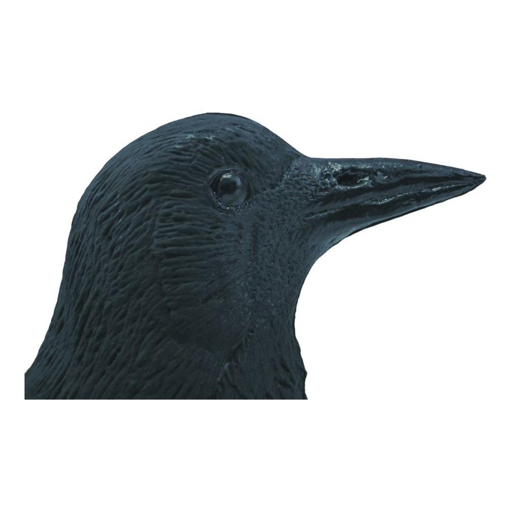 Decorazione Animale Corvo Nero 27 Cm 1382523 - Foto 6