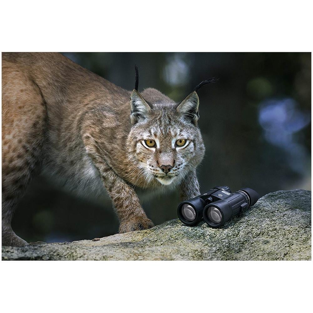 Wildlife 10,5x28 Black Binocular - Binoculars (115 Mm, 50 Mm, 130 Mm, 350 G, -20-70 C) - Foto 2