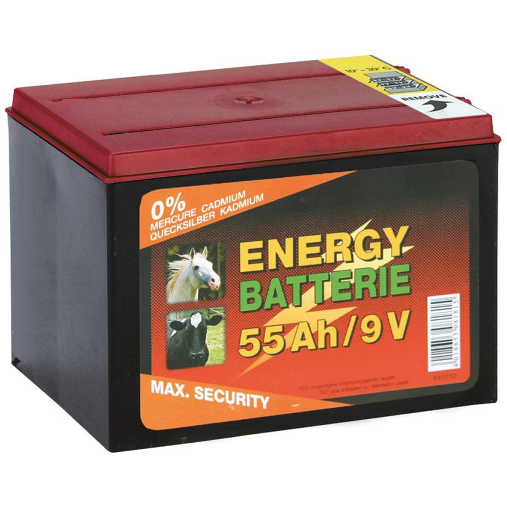Batteria 9 V - 55 Ah Elettrificatore Recinti - Recinzione Elettrica Per Animali - Foto 2