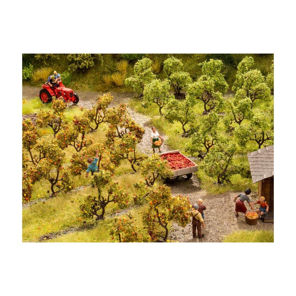 Piantagione di alberi da Frutto 12 pezzi - Foto 3