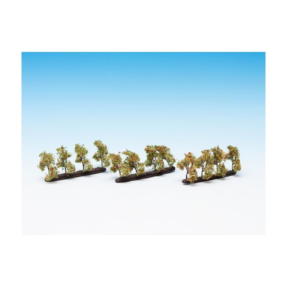 Piantagione di alberi da Frutto 12 pezzi - Foto 2