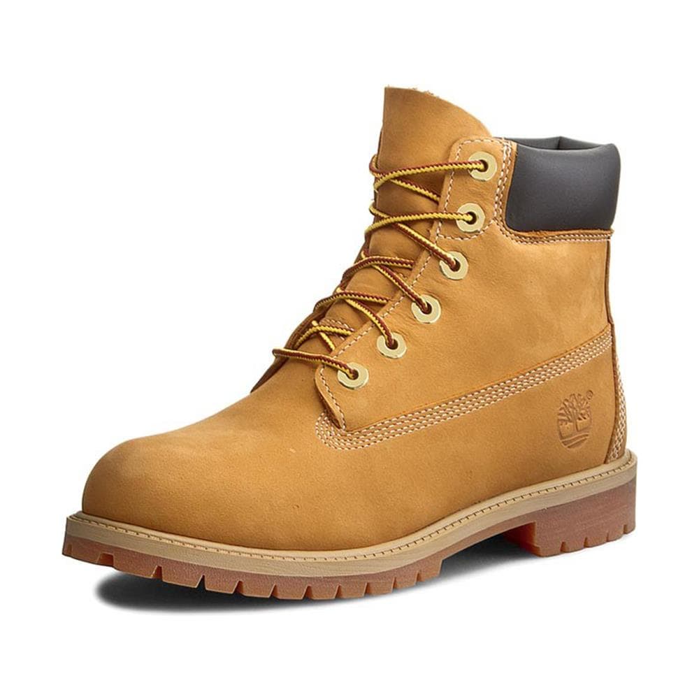 Scarponcino Timberland 6 Inch Classic Junior (n. 36-40)  - Foto 29