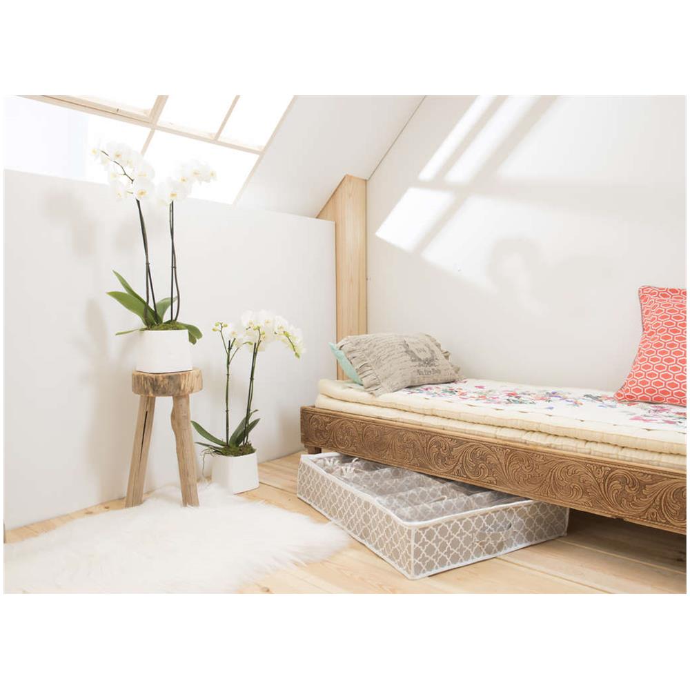 Madison - Custodia Porta Scarpe - Foto 2