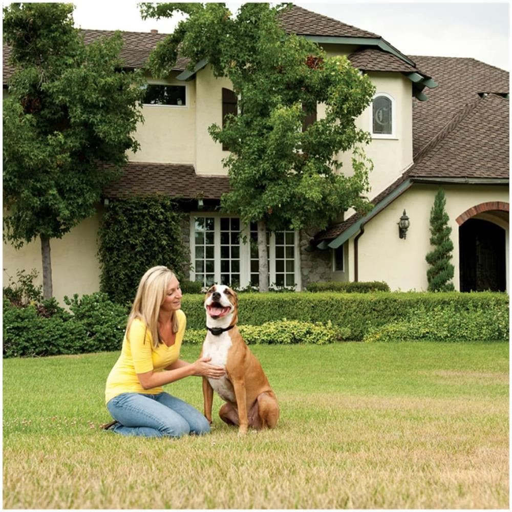 Sistema Di Recinzione Senza Fili Stay+play 2,3+ Kg 64 M 6086 - Foto 2