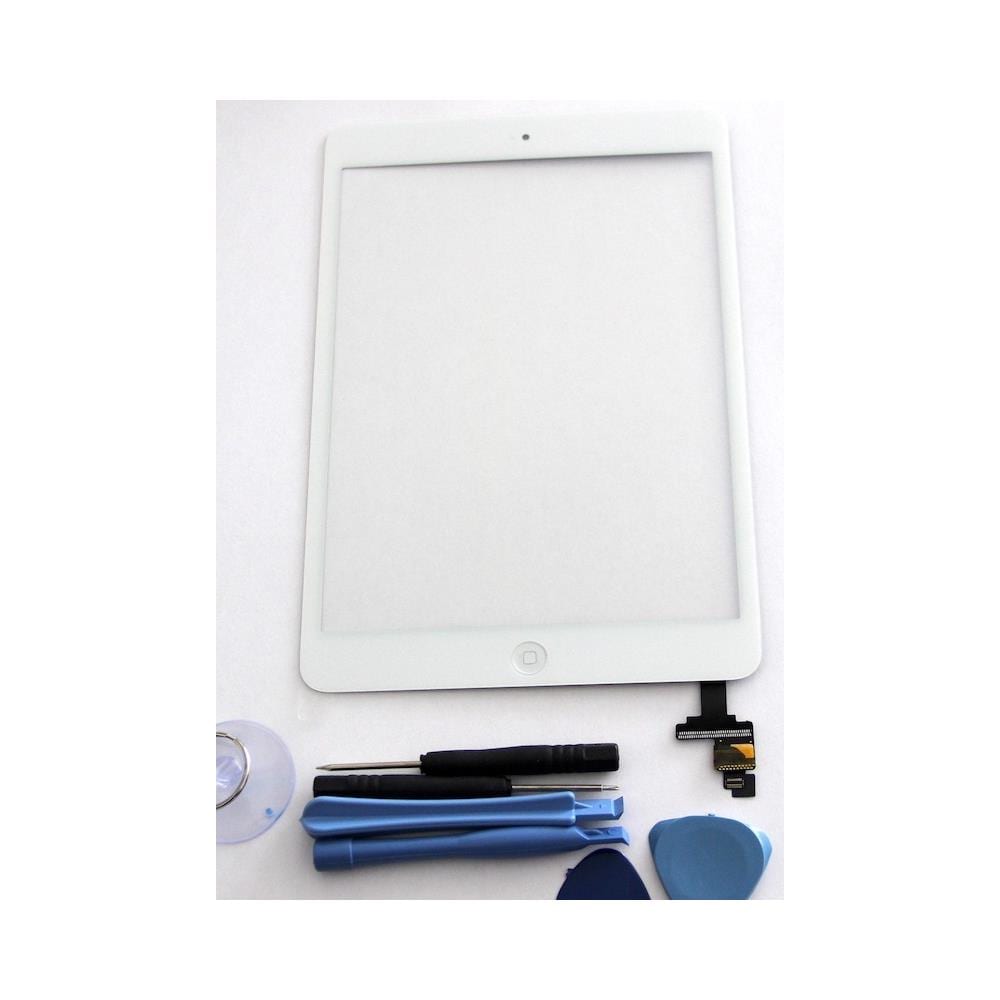 Ipad Mini Vetro Touchscreen Bianco Al 2 7.9 ""a1489-a1490-1491 - Foto 1