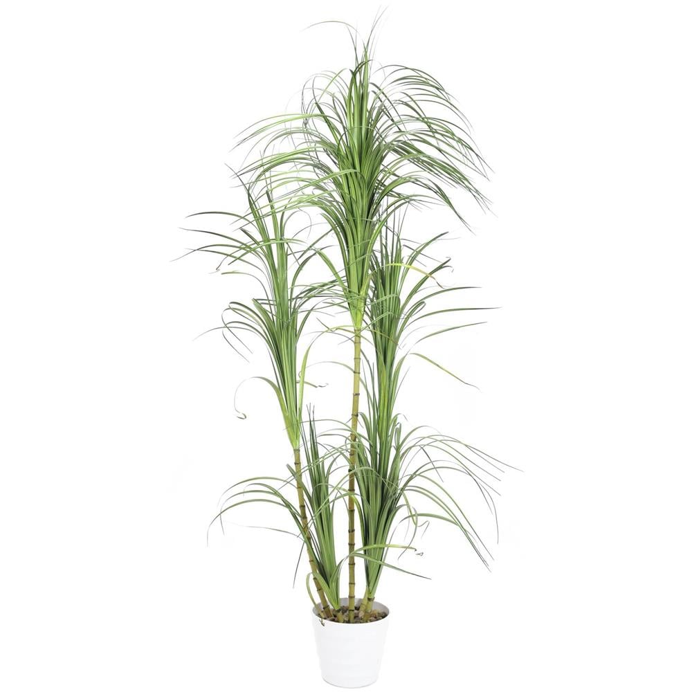 Pianta Artificiale Dracena, 215 Cm - Foto 1