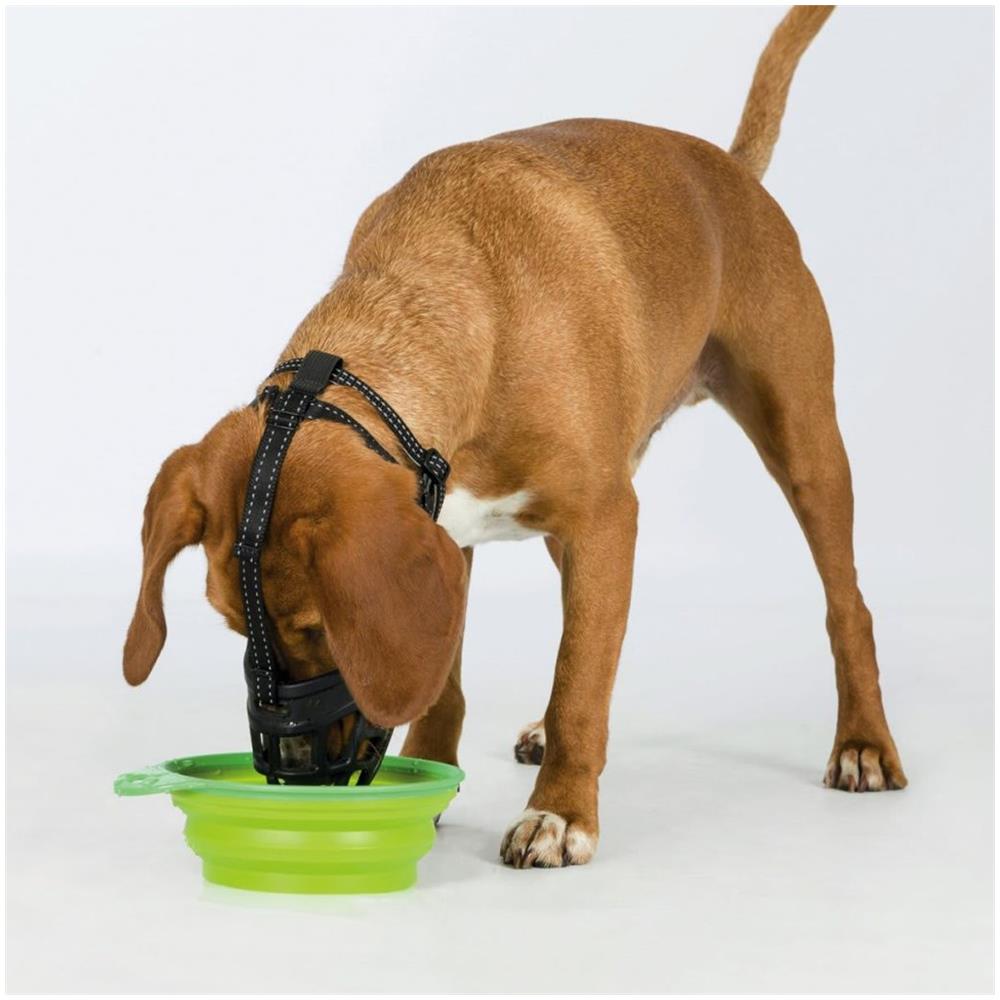 Museruola Per Cani Flex Taglia Ml 17613 - Foto 5