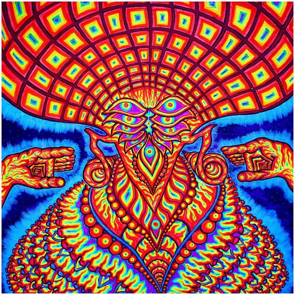 Dream Syndicate (The) - The Universe Inside (2 Lp) - Disponibile dal 10/04/2020 - Foto 1