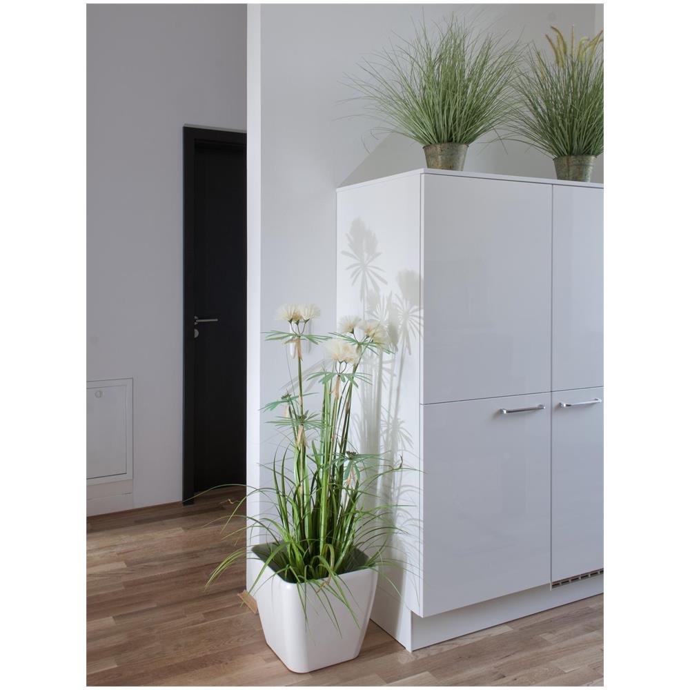 Ornamentale, Fioritura, Erba, 70cm - Foto 1