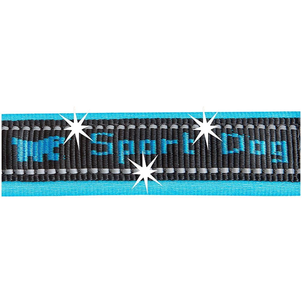 Collare Per Cani Sport Dog C25/65, Soffice Imbottitura, Cuciture Riflettenti, Etichetta Per Nome Dell'animale, A: 55÷65 Cm - B: 25 Mm Blu - Foto 6