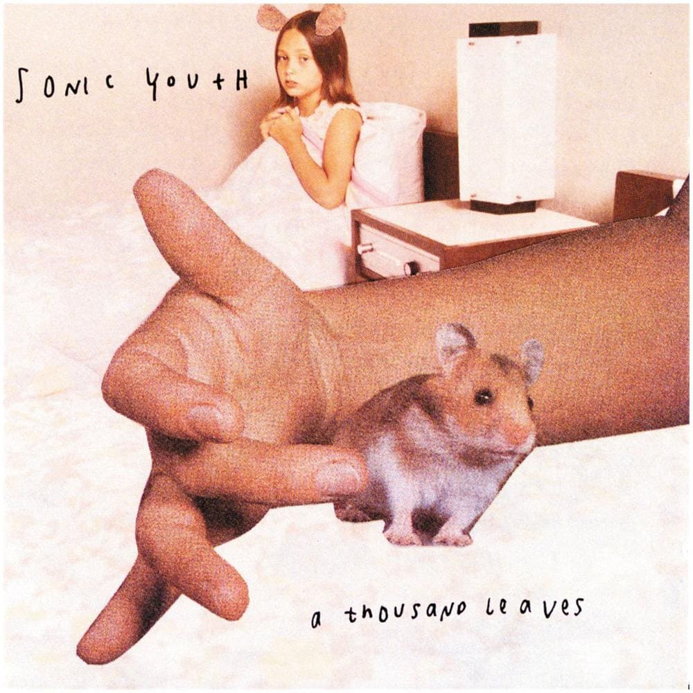 Sonic Youth - A Thousand Leaves (2 Lp)  - Foto 1