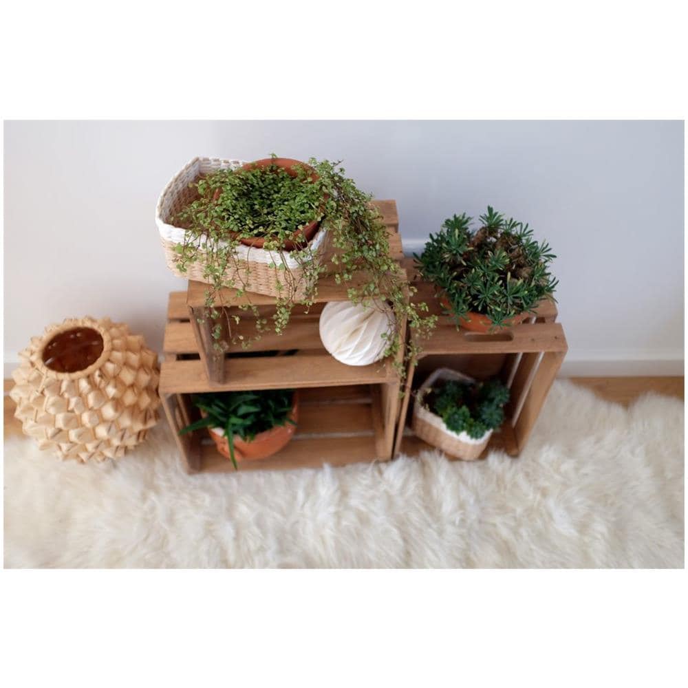 Scatola Portaoggetti Vintage, In Legno, 39 X 29 X 21 Cm, - Foto 7