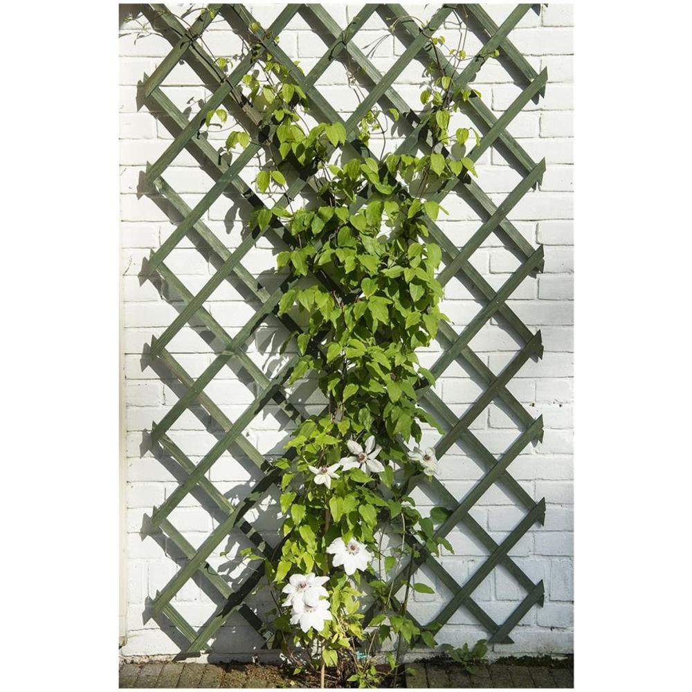 Pergolato Da Giardino In Legno Fsc Verde 50x150 Cm 6041702 - Foto 2