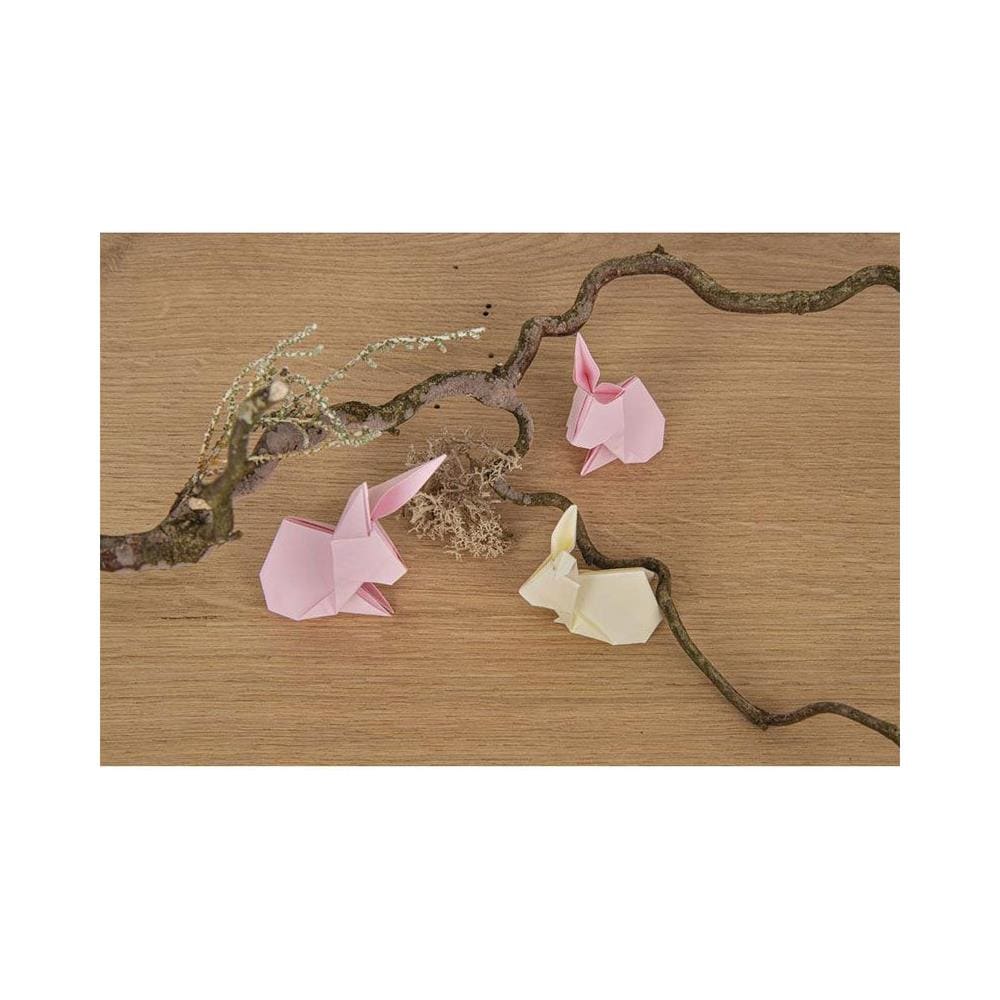 100 Fogli Carta Origami 20x20 Cm - 10 Colori, 70 G/m&sup2; Per Principianti E Artigianato