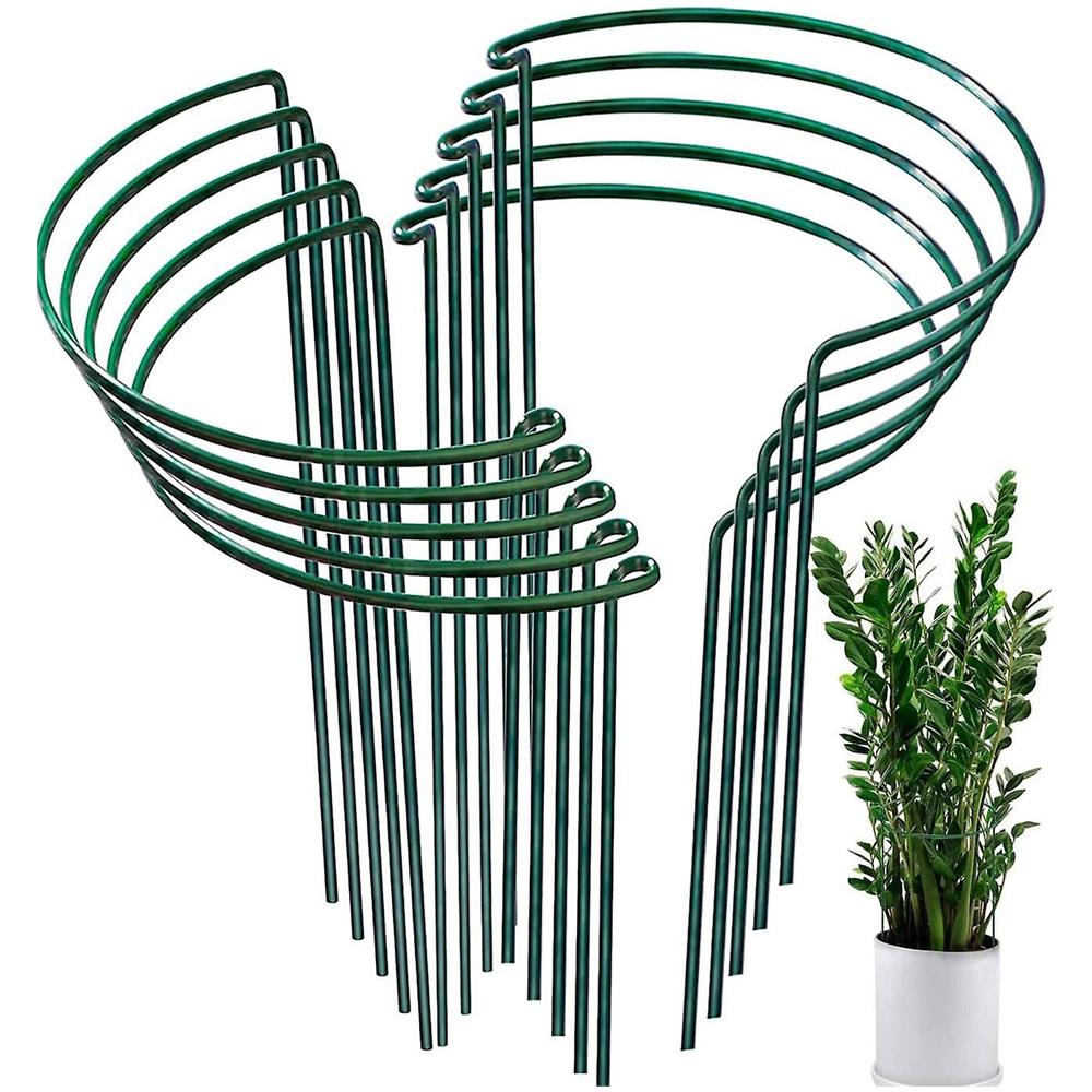 Supporto Piante Rapicanti, Supporti per Piante da Giardino 6 Pezzi