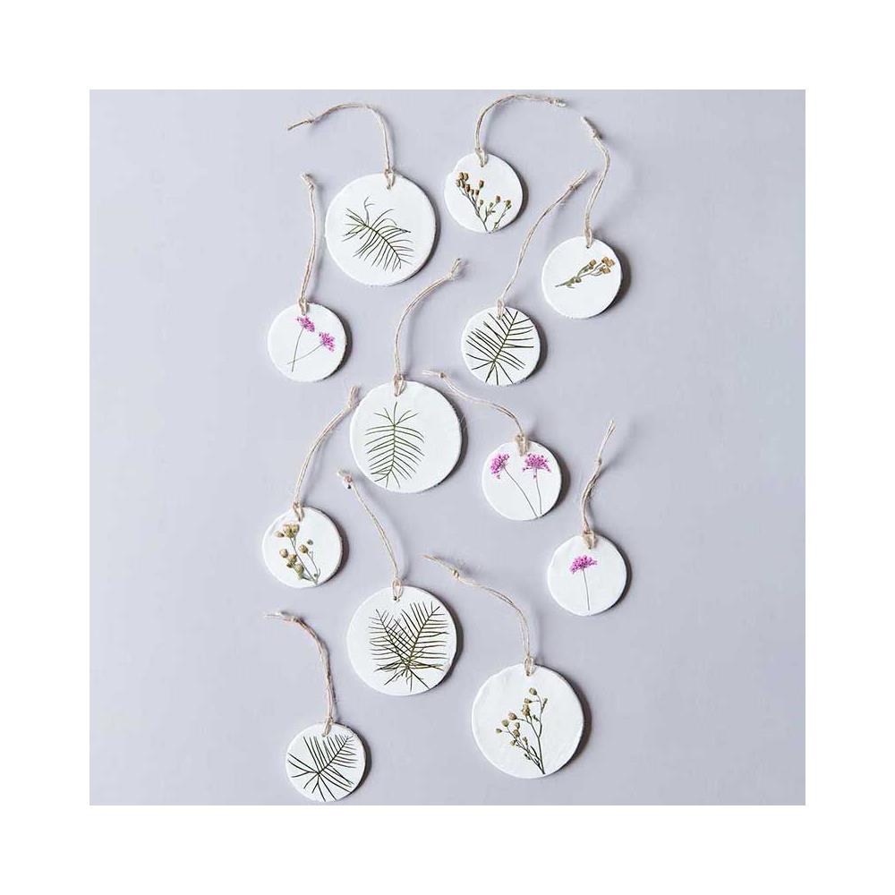 Ipoms E Cipressi Essiccati E Pressati - Foto 2