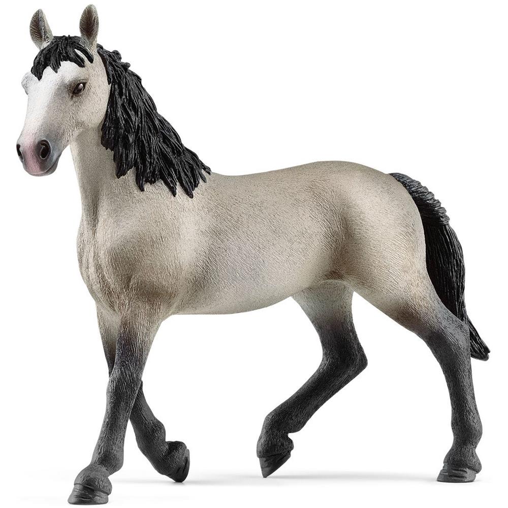 GIUMENTA CHEVAL DE SELLE FRANCAIS - Foto 1