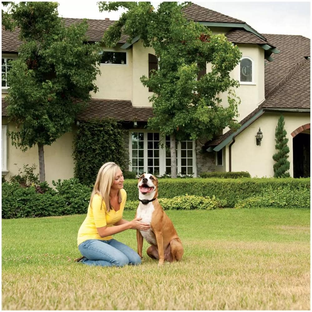 Collare Ricevitore Extra Stay+play 2,3+ Kg 6087 - Foto 2