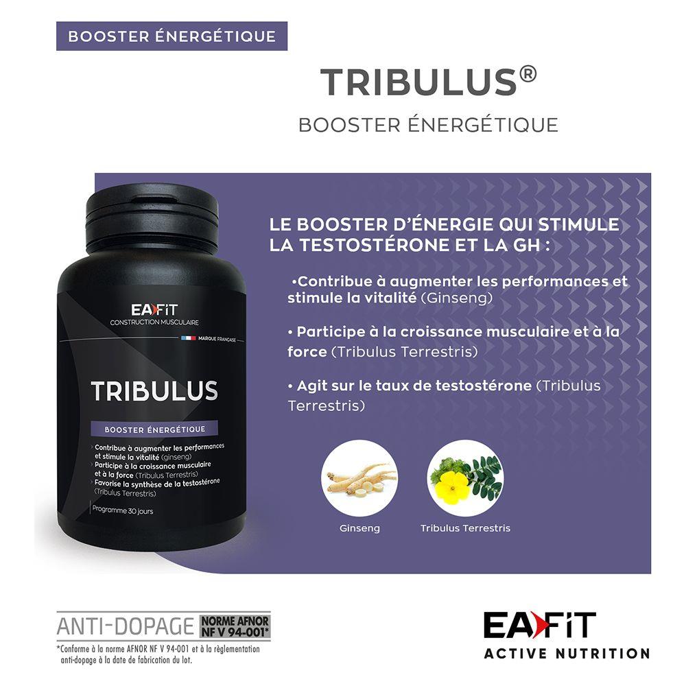 Tribulus Synthese Testosterone 90comprimes Eafit - Foto 1