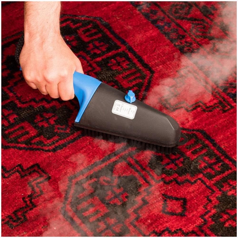 EOLO GVS2 INOX V6 Spazzola a Vapore Professionale Generatore di Vapore Stiro in Verticale e Orizzontale Caldaia in Rame Risparmio Energetico Resistenza Esterna Anticalcare Garanzia 5 Anni - Foto 6