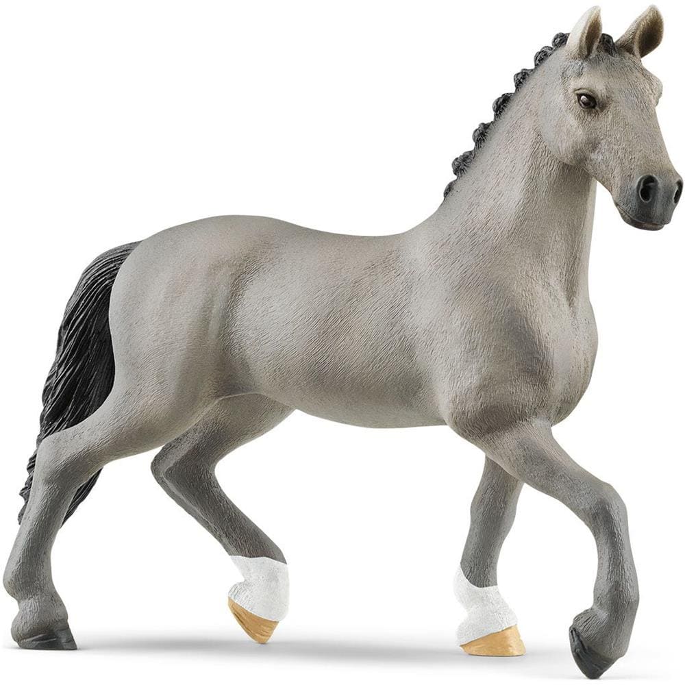 STALLONE CHEVAL DE SELLE FRANCAIS - Foto 1