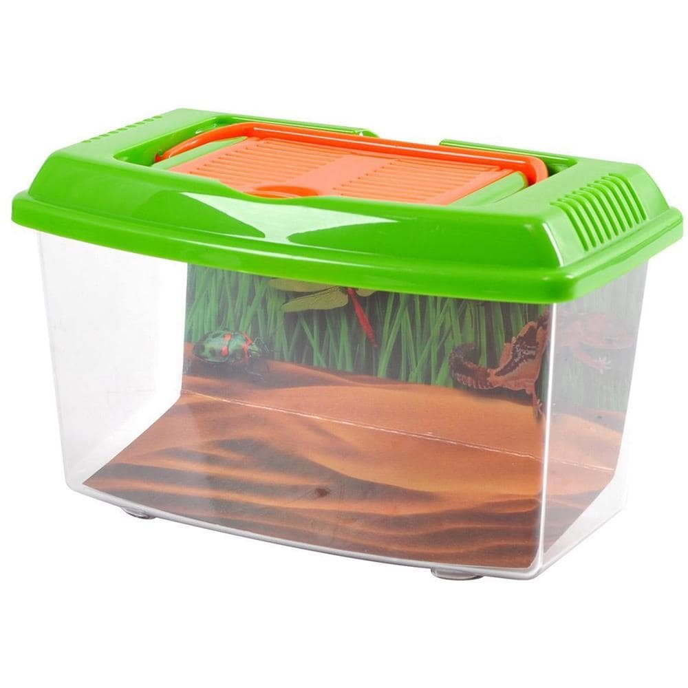 Bugs Carry Case - Foto 1