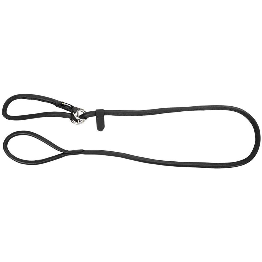 Guinzaglio Slip Per Cani Roma 1,7 M In Pelle Nera 81099 - Foto 1