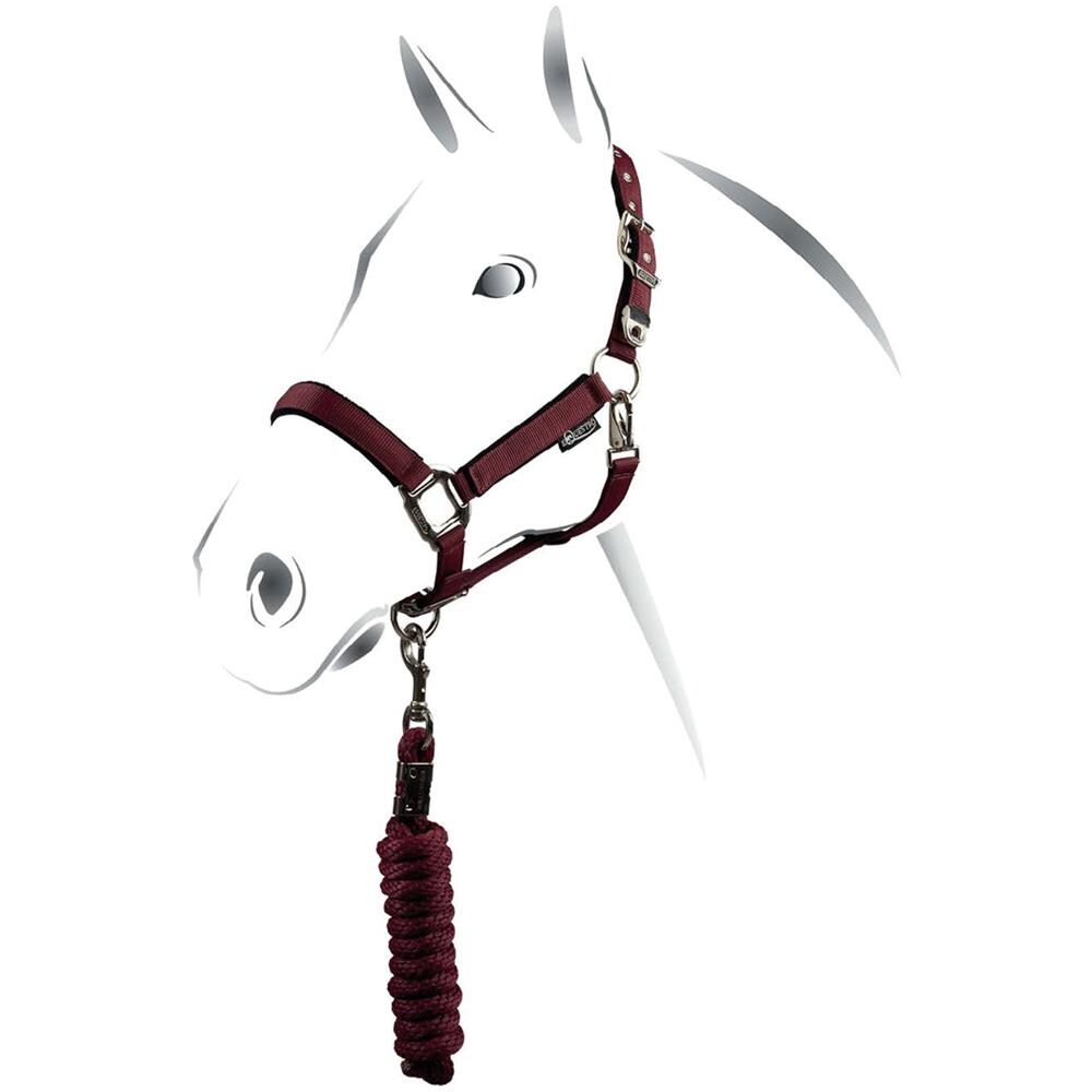 Cavezza A Doppia Regolazione Con Lunghina E Imbottitura In Pile Fibbie Satinate Shiny Fittings Cob - Foto 1