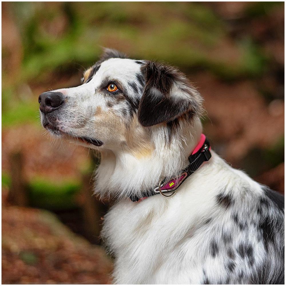 Collare Ergonomico Per Cani Ergofluo C15/42 Con Imbottitura E Chiusura A Microregolazione - Foto 11