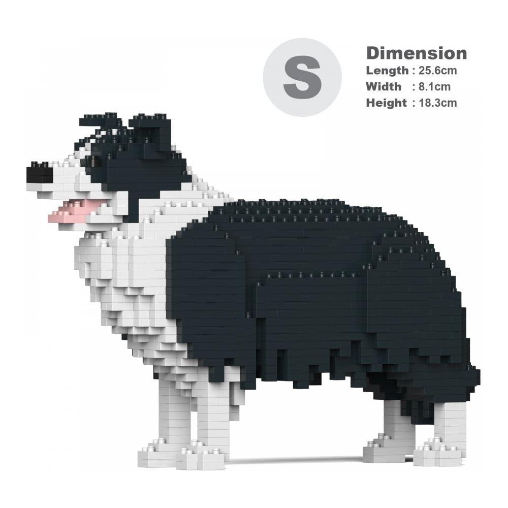 Installazioni 3d Border Collie - Foto 1