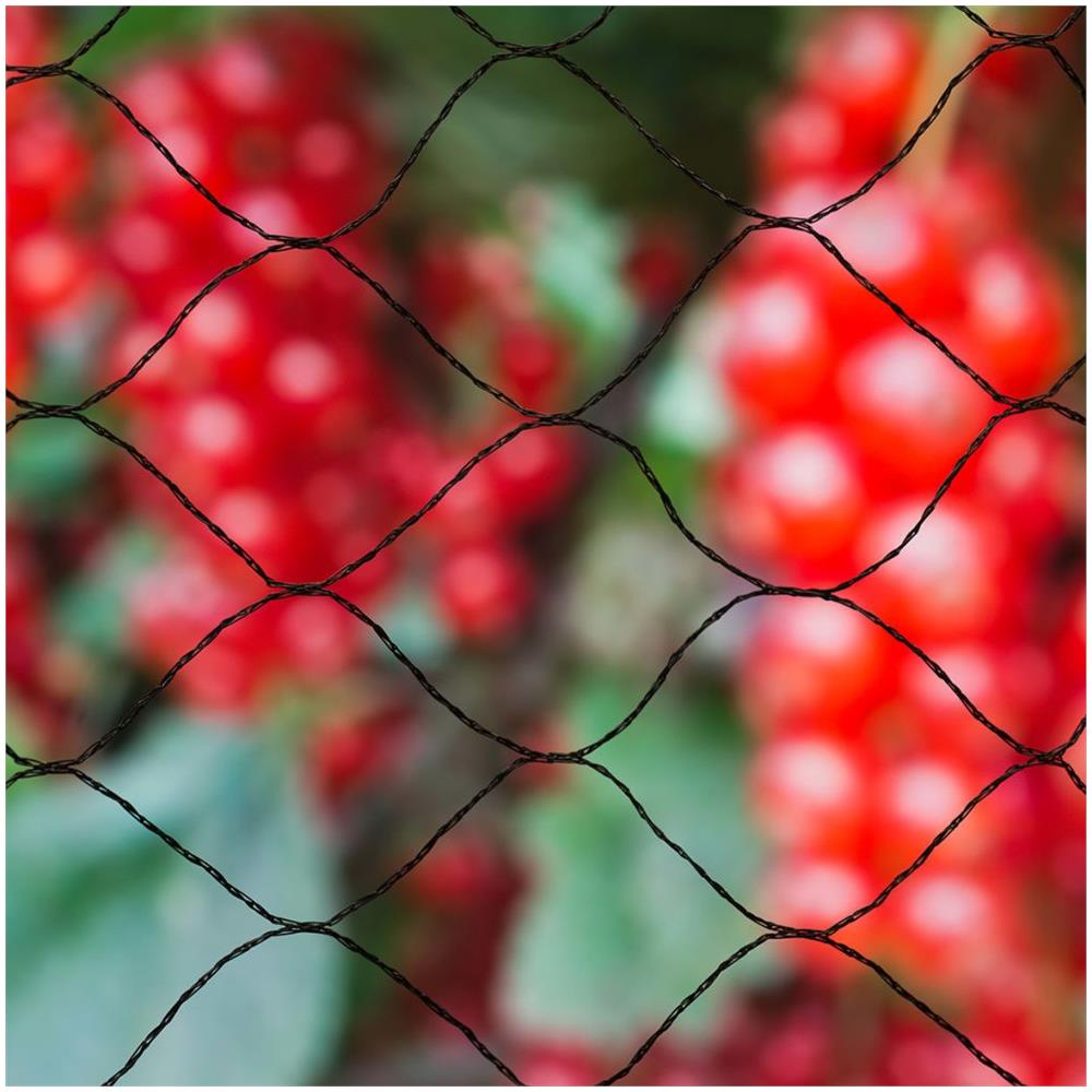 Rete Per Uccelli Primo 10x10 M Nera 6030407 - Foto 2
