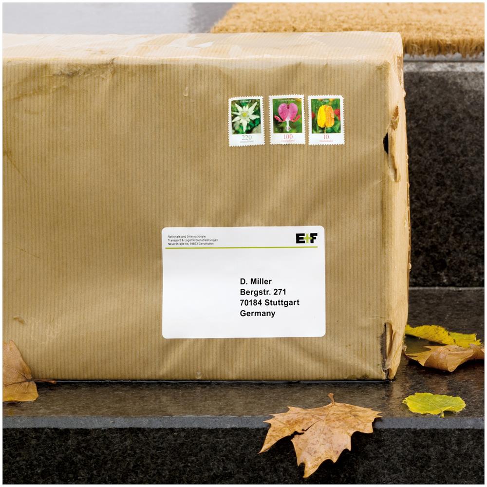 Carta per Stampanti Laser a Colori per CD e DVD Bianco 25 Pezzi 8332 - Foto 2