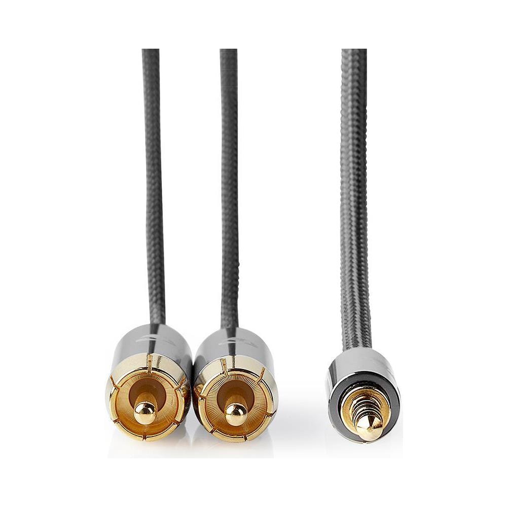 CATB22200GY10 cavo audio 1 m 3.5mm 2 x RCA Grigio - Foto 2