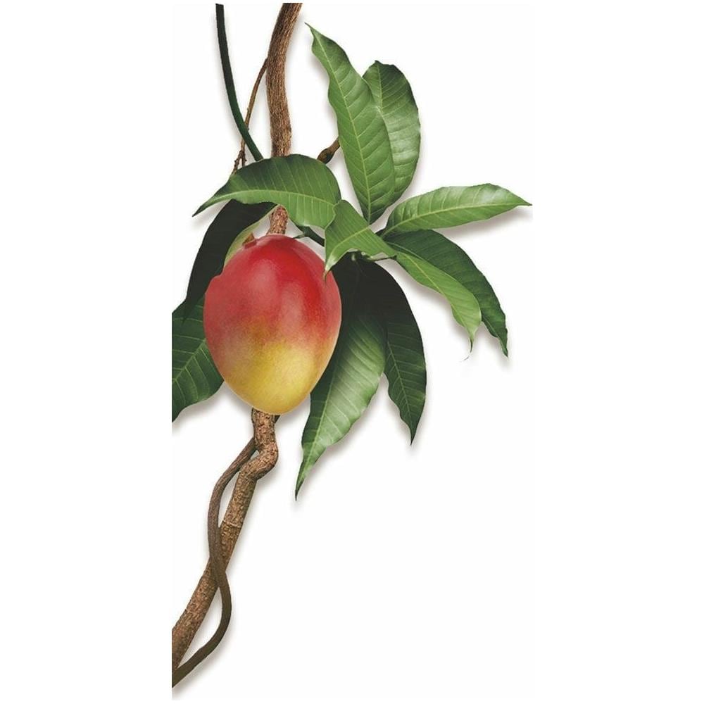 Balsamo al Mango 200 ml - Foto 2