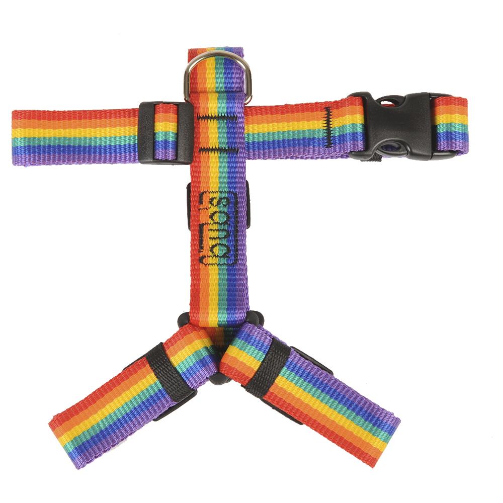 Imbracatura Not Pull Grande Rainbow230 Gr - Foto 1