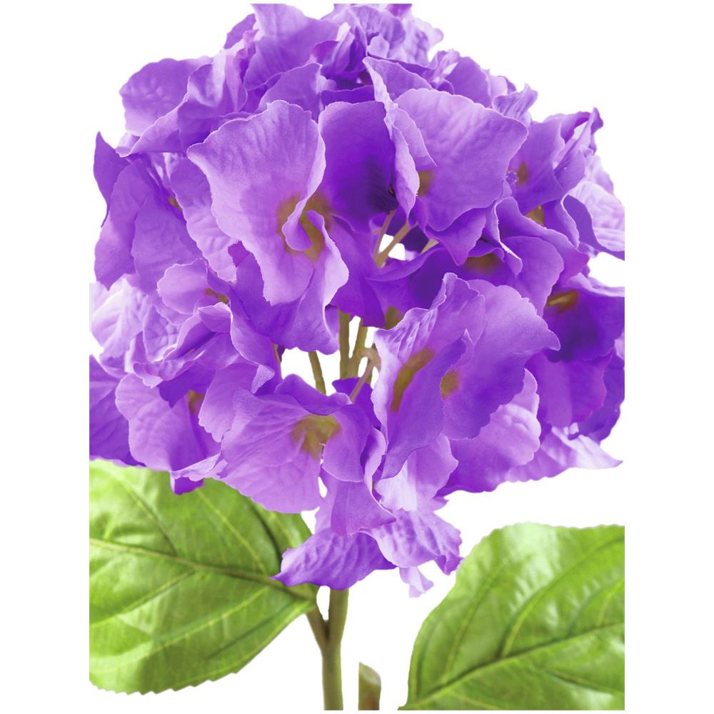 Hydragena Spray, Lavanda, 76cm - Foto 1