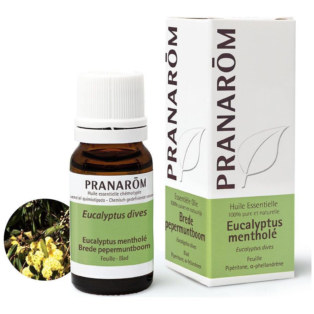 Eucalipto Mentolo 10ml Oli Essenziali - Foto 1