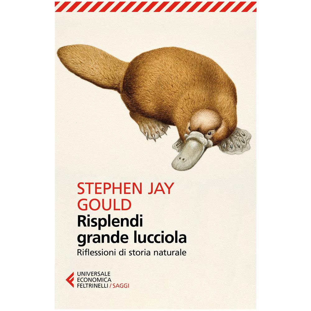Stephen Jay Gould - Risplendi grande lucciola. Riflessioni di storia naturale - Foto 1