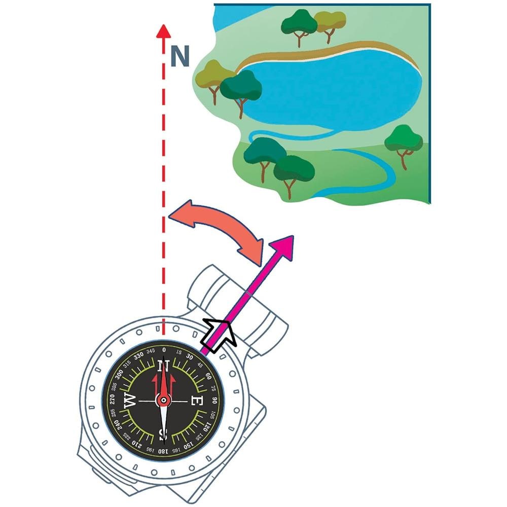 Laboratorio per Bambini Alla Scoperta della Natura 7+ Anni - Foto 7