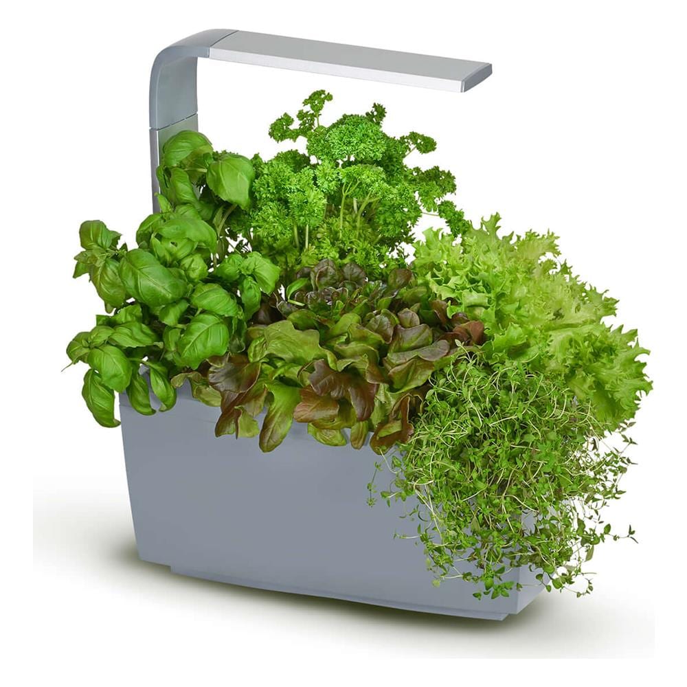 Verdura Collegato T6 Grigio - Foto 2