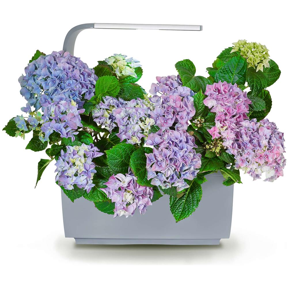 Verdura Collegato T6 Grigio - Foto 5