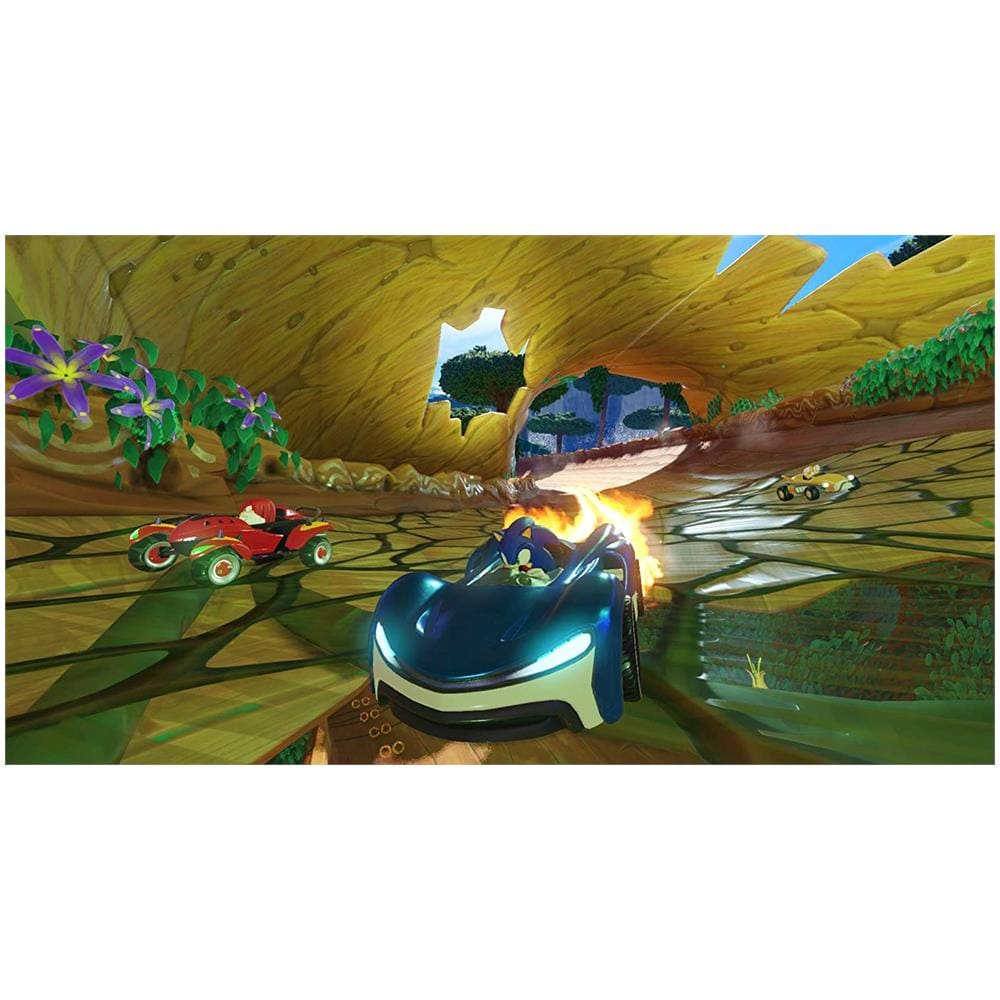 Team Sonic Racing - Foto 6