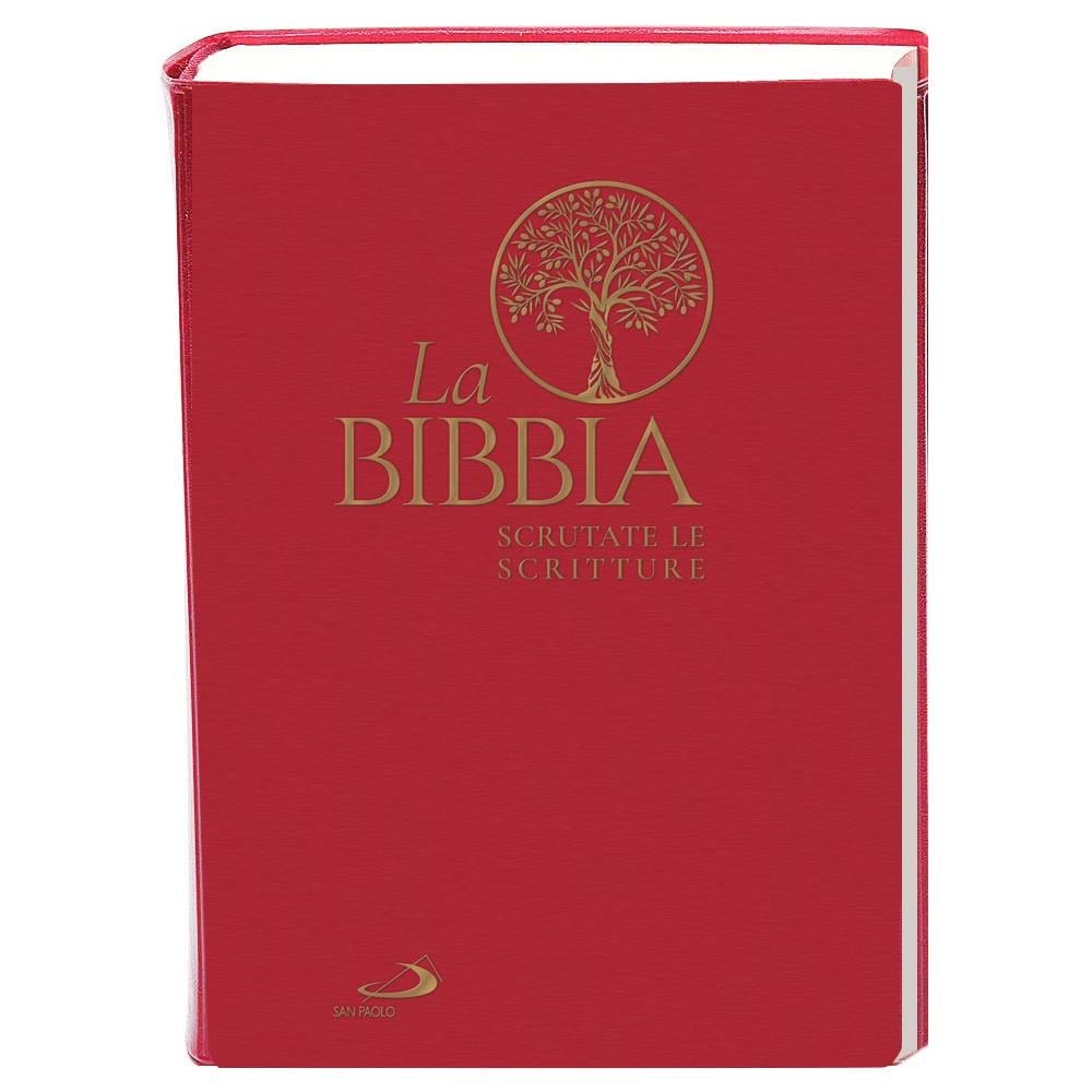 Bibbia. Scrutate Le Scritture (La)  - Foto 1