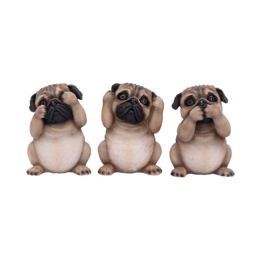 Nemesis Now - I Tre Carlini Saggi - Figurine Decorative Per Cani 8.5cm - Foto 2