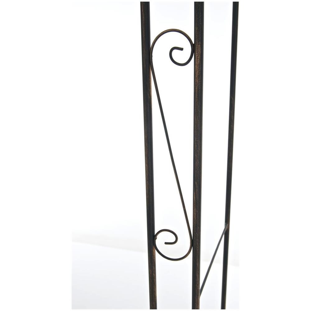 Rose Arch Anna - Foto 2