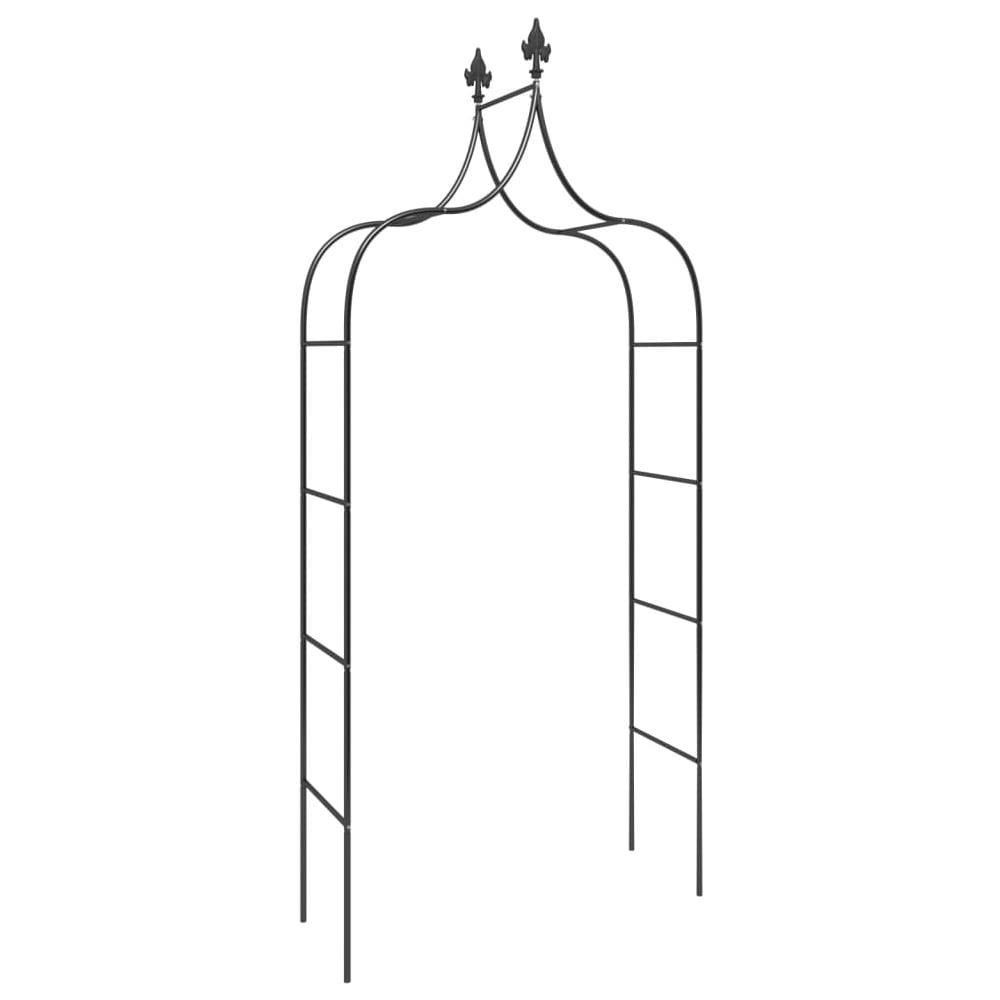 Archi Da Giardino 2 Pz Neri 120x38x260 Cm Acciaio - Foto 6