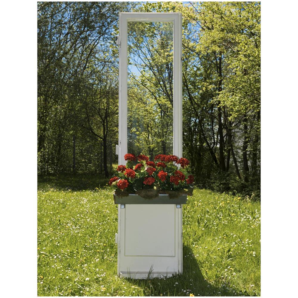 Geranio Rosso 42cm - Foto 1