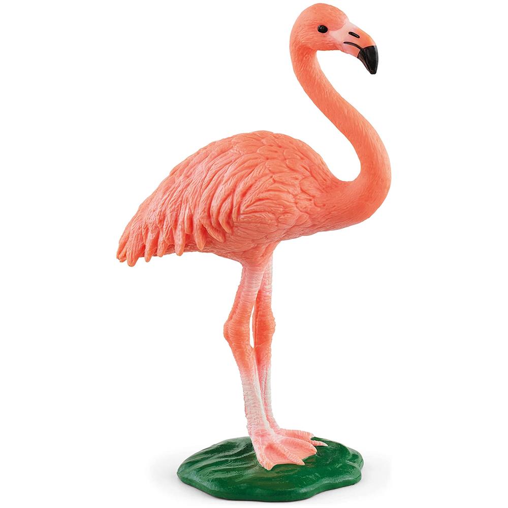 : Fenicottero - Foto 1