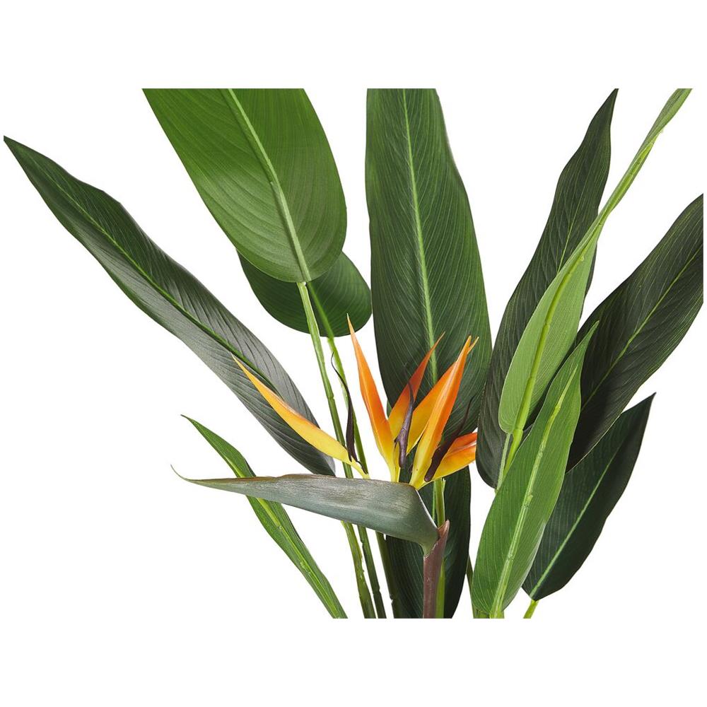 Pianta Artificiale In Vaso 115 Cm Strelitzia Tree - Foto 2