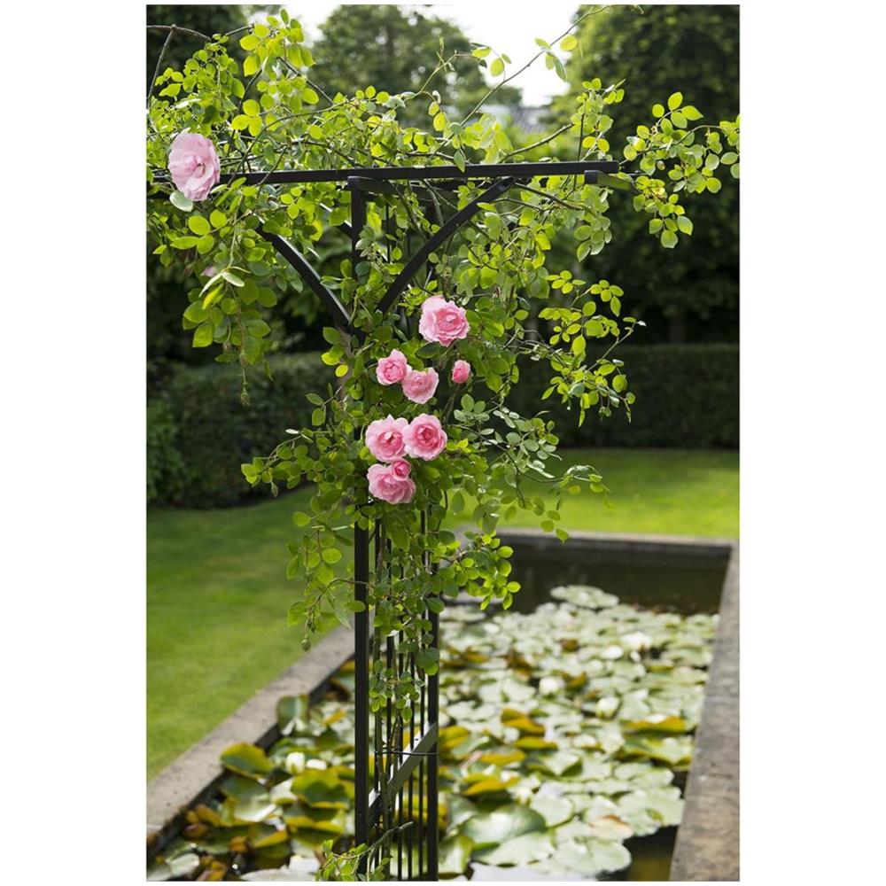 Arco Da Giardino 114x66x232 Cm In Acciaio Nero - Foto 16